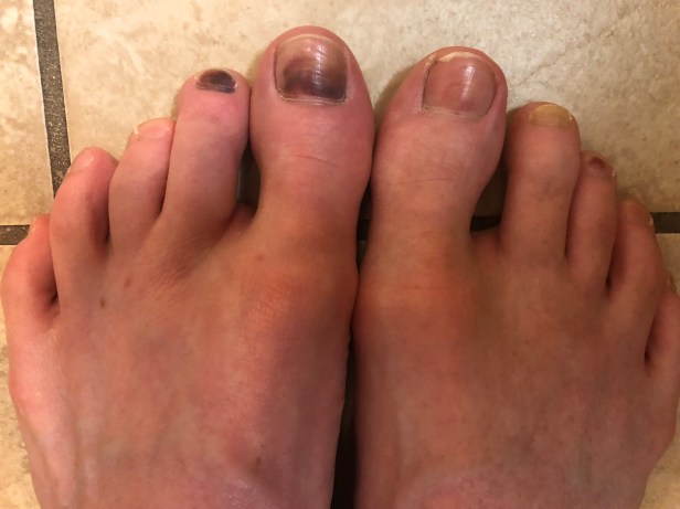 5pj5+CA5ST+5lnceDAtYyw