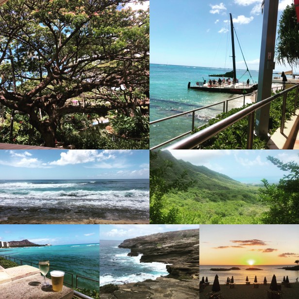 8D1EC3CE-4E2A-4162-ADC0-33F72FCD62E7 (1).JPG